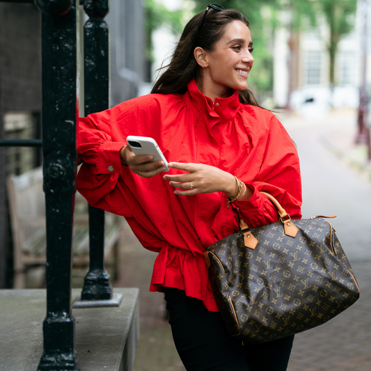 Louis Vuitton Speedy 35