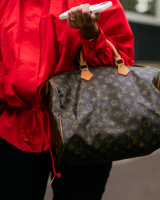 Louis Vuitton Speedy 35